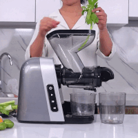 Máy Ép Venko - Máy Ép Chậm Trục Ngang Venko VS30 — ÉP RAU CẦN TÂY