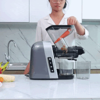 Máy Ép Venko - Máy Ép Chậm Trục Ngang Venko VS30 — ÉP CÀ RỐT