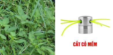 BỘ SẠC NHANH 220V