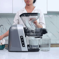 Máy Ép Venko - Máy Ép Chậm Trục Ngang Venko VS30 — ÉP DỪA NON