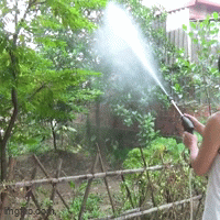 TƯỚI CÂY
